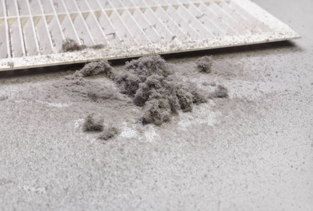 Best HVAC Maintenance and Cleaning  in Albany, IN